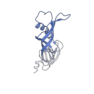 9962_6kf9_E_v1-3
Cryo-EM structure of Thermococcus kodakarensis RNA polymerase