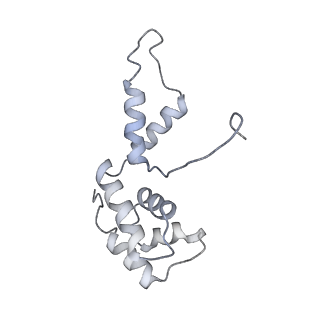 9962_6kf9_F_v1-3
Cryo-EM structure of Thermococcus kodakarensis RNA polymerase
