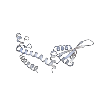 9962_6kf9_G_v1-3
Cryo-EM structure of Thermococcus kodakarensis RNA polymerase