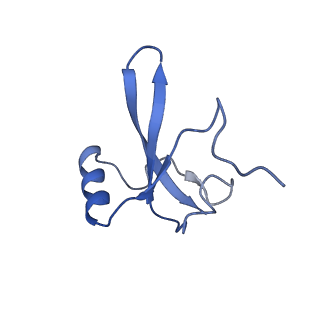 9962_6kf9_H_v1-3
Cryo-EM structure of Thermococcus kodakarensis RNA polymerase