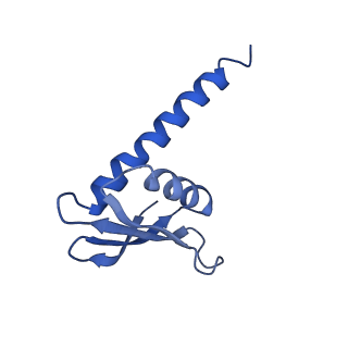 9962_6kf9_L_v1-3
Cryo-EM structure of Thermococcus kodakarensis RNA polymerase