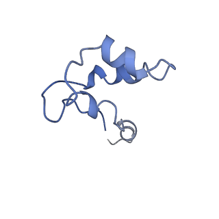 9962_6kf9_N_v1-3
Cryo-EM structure of Thermococcus kodakarensis RNA polymerase
