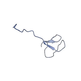9962_6kf9_P_v1-3
Cryo-EM structure of Thermococcus kodakarensis RNA polymerase