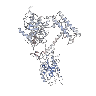 9969_6kf4_A_v1-3
Cryo-EM structure of Thermococcus kodakarensis RNA polymerase