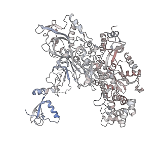 9969_6kf4_B_v1-3
Cryo-EM structure of Thermococcus kodakarensis RNA polymerase