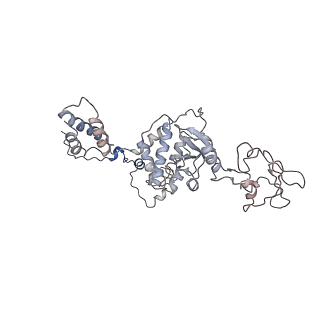 9969_6kf4_C_v1-3
Cryo-EM structure of Thermococcus kodakarensis RNA polymerase