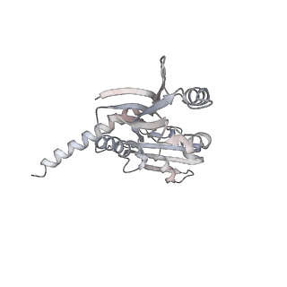 9969_6kf4_D_v1-3
Cryo-EM structure of Thermococcus kodakarensis RNA polymerase