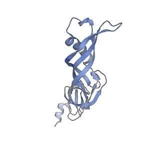 9969_6kf4_E_v1-3
Cryo-EM structure of Thermococcus kodakarensis RNA polymerase