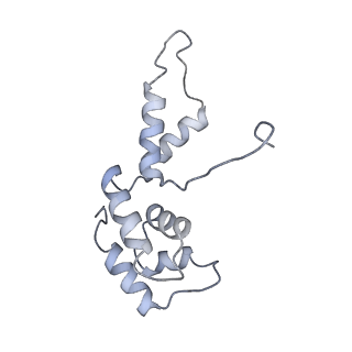 9969_6kf4_F_v1-3
Cryo-EM structure of Thermococcus kodakarensis RNA polymerase