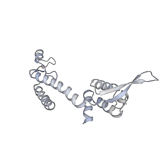 9969_6kf4_G_v1-3
Cryo-EM structure of Thermococcus kodakarensis RNA polymerase