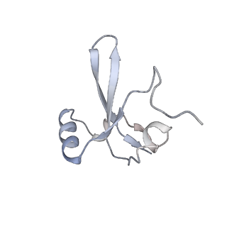 9969_6kf4_H_v1-3
Cryo-EM structure of Thermococcus kodakarensis RNA polymerase