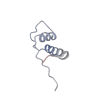 9969_6kf4_K_v1-3
Cryo-EM structure of Thermococcus kodakarensis RNA polymerase