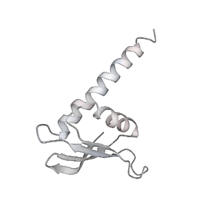 9969_6kf4_L_v1-3
Cryo-EM structure of Thermococcus kodakarensis RNA polymerase
