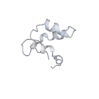 9969_6kf4_N_v1-3
Cryo-EM structure of Thermococcus kodakarensis RNA polymerase