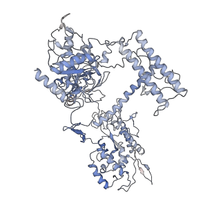 9970_6kf9_A_v1-3
Cryo-EM structure of Thermococcus kodakarensis RNA polymerase