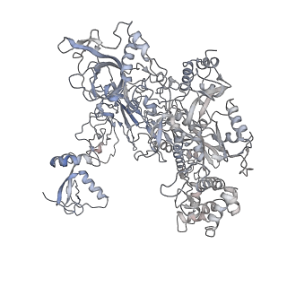 9970_6kf9_B_v1-3
Cryo-EM structure of Thermococcus kodakarensis RNA polymerase