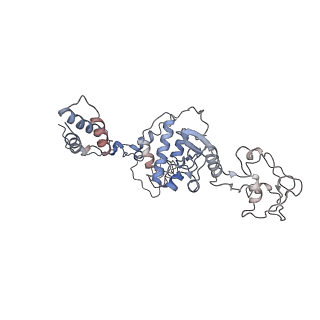 9970_6kf9_C_v1-3
Cryo-EM structure of Thermococcus kodakarensis RNA polymerase