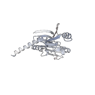 9970_6kf9_D_v1-3
Cryo-EM structure of Thermococcus kodakarensis RNA polymerase