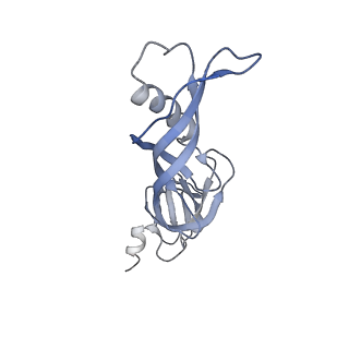9970_6kf9_E_v1-3
Cryo-EM structure of Thermococcus kodakarensis RNA polymerase