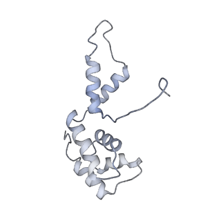 9970_6kf9_F_v1-3
Cryo-EM structure of Thermococcus kodakarensis RNA polymerase