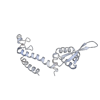 9970_6kf9_G_v1-3
Cryo-EM structure of Thermococcus kodakarensis RNA polymerase