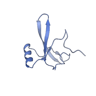 9970_6kf9_H_v1-3
Cryo-EM structure of Thermococcus kodakarensis RNA polymerase