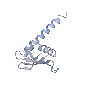 9970_6kf9_L_v1-3
Cryo-EM structure of Thermococcus kodakarensis RNA polymerase