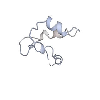 9970_6kf9_N_v1-3
Cryo-EM structure of Thermococcus kodakarensis RNA polymerase