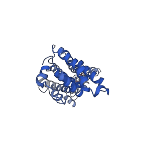 9973_6kfh_A_v1-1
Undocked hemichannel of an N-terminal deletion mutant of INX-6 in a nanodisc