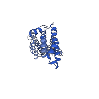 9973_6kfh_B_v1-1
Undocked hemichannel of an N-terminal deletion mutant of INX-6 in a nanodisc
