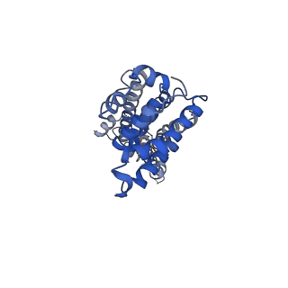 9973_6kfh_C_v1-1
Undocked hemichannel of an N-terminal deletion mutant of INX-6 in a nanodisc
