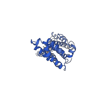 9973_6kfh_E_v1-1
Undocked hemichannel of an N-terminal deletion mutant of INX-6 in a nanodisc