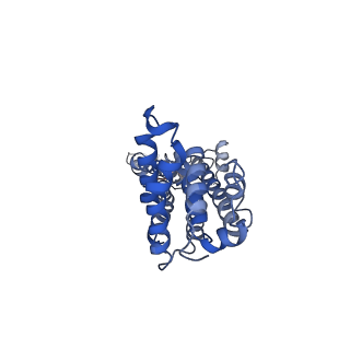 9973_6kfh_F_v1-1
Undocked hemichannel of an N-terminal deletion mutant of INX-6 in a nanodisc