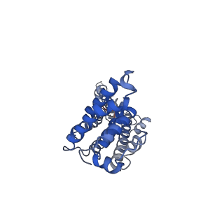 9973_6kfh_G_v1-1
Undocked hemichannel of an N-terminal deletion mutant of INX-6 in a nanodisc