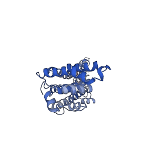 9973_6kfh_H_v1-1
Undocked hemichannel of an N-terminal deletion mutant of INX-6 in a nanodisc