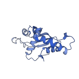 22865_7kgb_F_v1-1
CryoEM structure of A2296-methylated Mycobacterium tuberculosis ribosome bound with SEQ-9