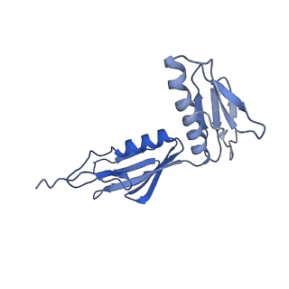 22865_7kgb_G_v1-1
CryoEM structure of A2296-methylated Mycobacterium tuberculosis ribosome bound with SEQ-9