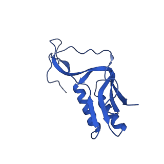 22865_7kgb_M_v1-1
CryoEM structure of A2296-methylated Mycobacterium tuberculosis ribosome bound with SEQ-9