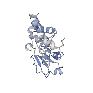 22865_7kgb_d_v1-1
CryoEM structure of A2296-methylated Mycobacterium tuberculosis ribosome bound with SEQ-9