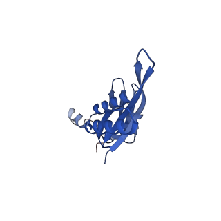 22865_7kgb_e_v1-1
CryoEM structure of A2296-methylated Mycobacterium tuberculosis ribosome bound with SEQ-9