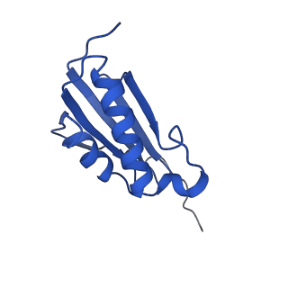 22865_7kgb_k_v1-1
CryoEM structure of A2296-methylated Mycobacterium tuberculosis ribosome bound with SEQ-9