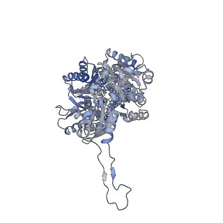 22866_7kgd_A_v1-0
Cryo-EM Structures of AdeB from Acinetobacter baumannii: AdeB-I