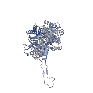 22866_7kgd_A_v1-1
Cryo-EM Structures of AdeB from Acinetobacter baumannii: AdeB-I