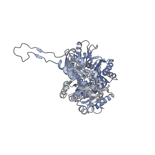 22866_7kgd_B_v1-0
Cryo-EM Structures of AdeB from Acinetobacter baumannii: AdeB-I