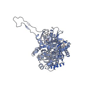 22868_7kgf_B_v1-0
Cryo-EM Structures of AdeB from Acinetobacter baumannii: AdeB-III