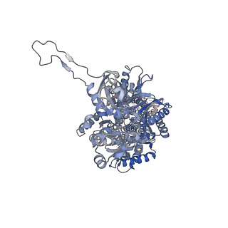 22868_7kgf_B_v1-1
Cryo-EM Structures of AdeB from Acinetobacter baumannii: AdeB-III