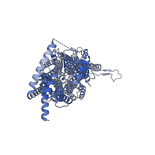 22869_7kgg_B_v1-0
Cryo-EM Structures of AdeB from Acinetobacter baumannii: AdeB-ET-I