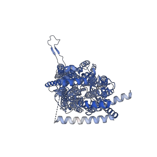 22869_7kgg_C_v1-1
Cryo-EM Structures of AdeB from Acinetobacter baumannii: AdeB-ET-I