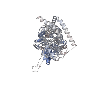 22870_7kgh_A_v1-0
Cryo-EM Structures of AdeB from Acinetobacter baumannii: AdeB-ET-II