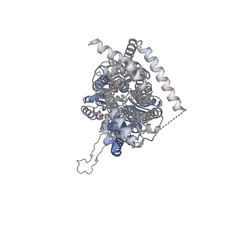 22870_7kgh_A_v1-1
Cryo-EM Structures of AdeB from Acinetobacter baumannii: AdeB-ET-II